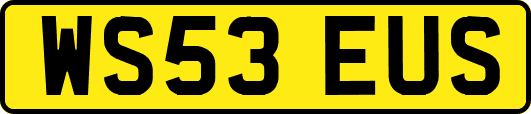 WS53EUS