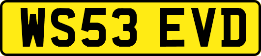 WS53EVD