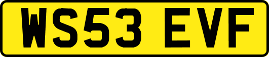 WS53EVF