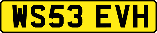 WS53EVH