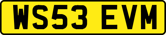 WS53EVM