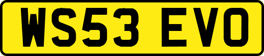 WS53EVO