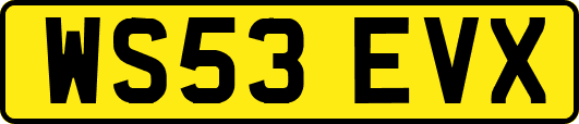 WS53EVX