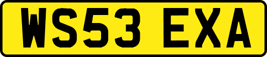 WS53EXA