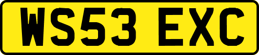 WS53EXC