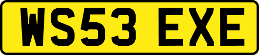 WS53EXE