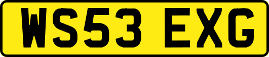WS53EXG