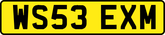 WS53EXM