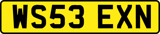 WS53EXN