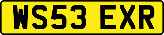 WS53EXR