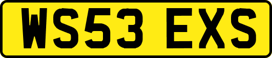 WS53EXS