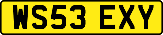 WS53EXY