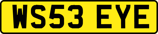 WS53EYE