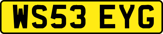 WS53EYG