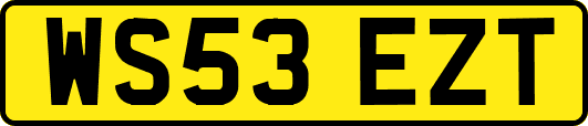 WS53EZT