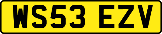 WS53EZV