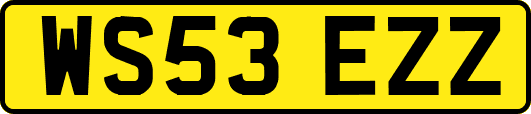 WS53EZZ