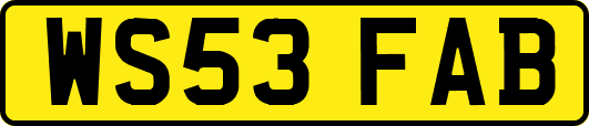 WS53FAB