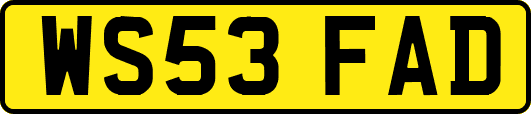 WS53FAD