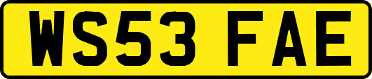 WS53FAE