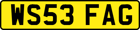 WS53FAG