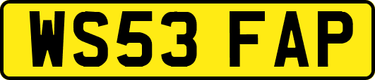 WS53FAP
