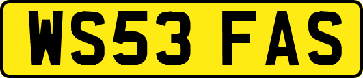 WS53FAS