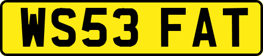 WS53FAT