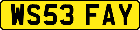 WS53FAY