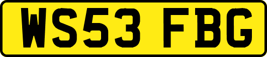 WS53FBG