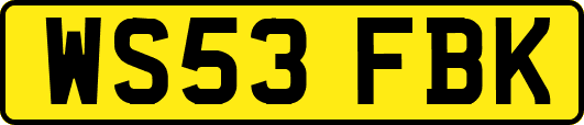 WS53FBK