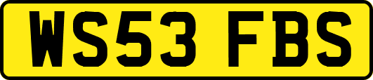 WS53FBS