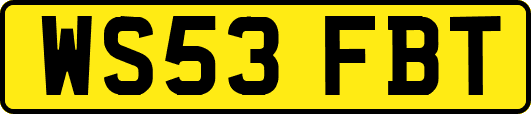 WS53FBT