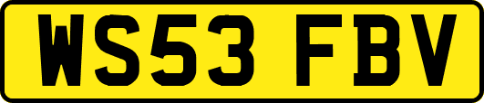 WS53FBV