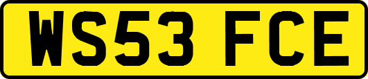 WS53FCE