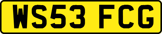 WS53FCG