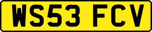WS53FCV