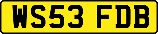 WS53FDB
