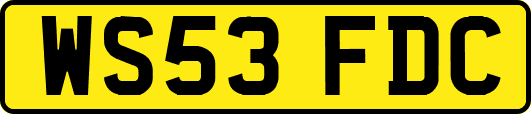 WS53FDC