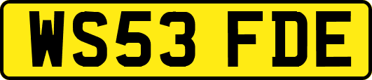 WS53FDE