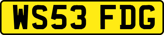 WS53FDG