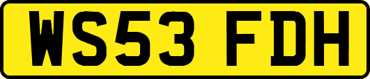 WS53FDH