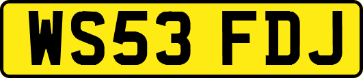 WS53FDJ
