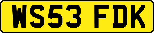WS53FDK