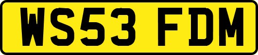 WS53FDM