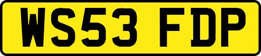 WS53FDP