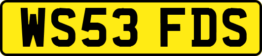 WS53FDS