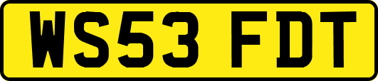 WS53FDT