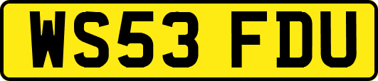 WS53FDU