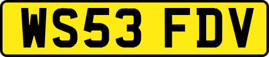 WS53FDV